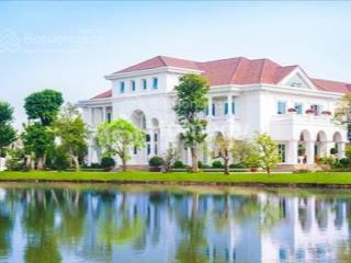 Cần tiền bán nhanh, biệt thự đơn lập, giá hời phân khu bằng lăng, 500m², giá cả thương lượng