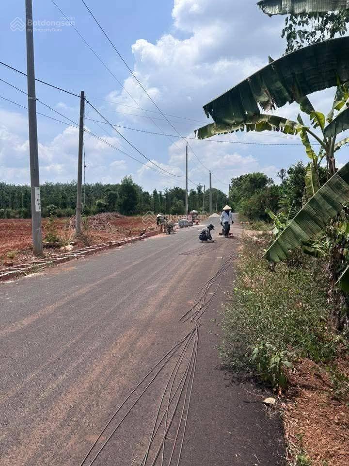 Cách trục mỹ xuân ngãi giao khoảng 800m. dt 4sào8 có sẵn 80tc 7m mặt tiền đường nhựa. giá 3tỷ3