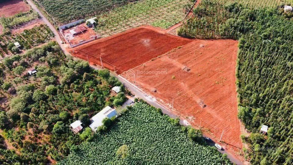 Cách trục mỹ xuân ngãi giao khoảng 800m. dt 4sào8 có sẵn 80tc 7m mặt tiền đường nhựa. giá 3tỷ3
