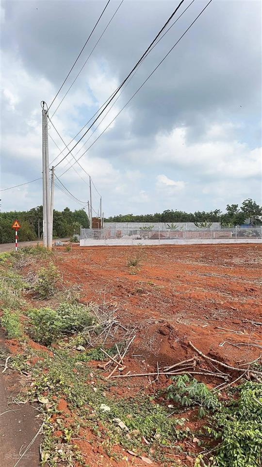 Cách trục mỹ xuân ngãi giao khoảng 800m. dt 4sào8 có sẵn 80tc 7m mặt tiền đường nhựa. giá 3tỷ3