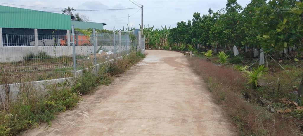 Bán căn nhà giá rẻ tại đá bạc. dt 203,8m2 có sẵn 80tc ngang 5m dài 40m. giá chỉ 890tr còn bớt lộc