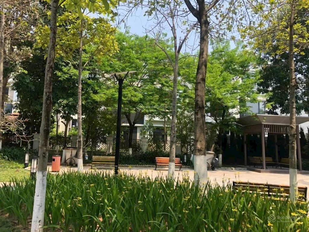 Biệt thự ciputra tây hồ, 330m2, 3.5 tầng hoàn thiện cực đẹp, mt 10m, mặt đường đôi, chỉ 303tr/m2