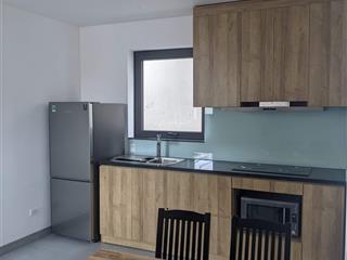 Chính chủ cho thuê căn hộ studio ngõ 19 liễu giai, ngõ oto tránh, 28m2, 1 p.ngủ, full nt, 7.5tr/th