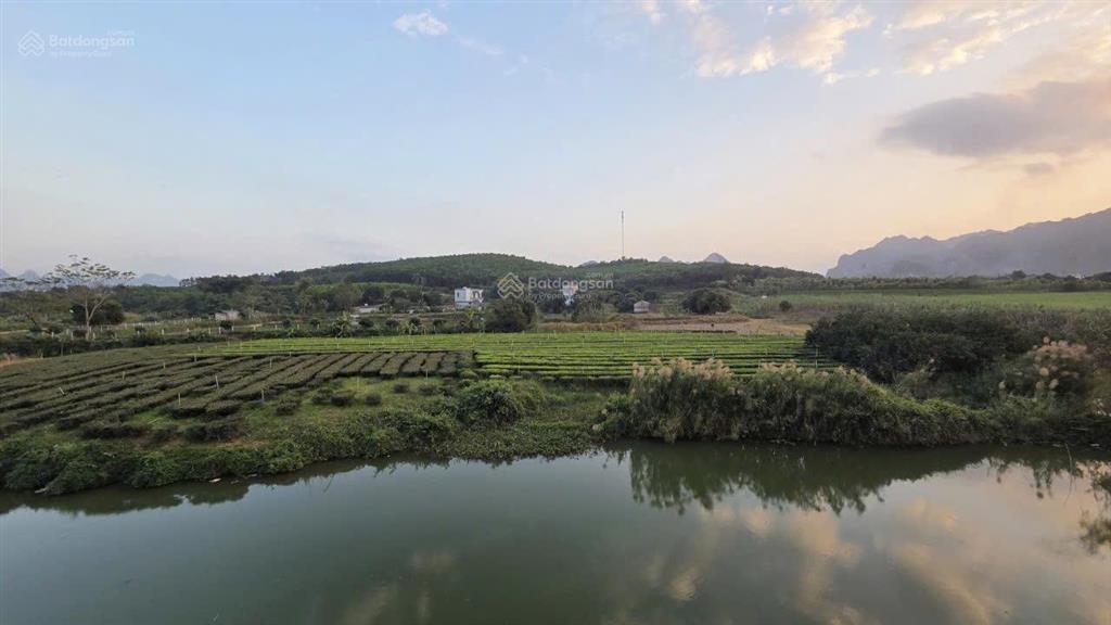 Chính chủ bán đất cạnh đại dự án utopia, 85m2 nhỉnh 600 triệu, có thương lượng.