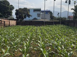 Cần bán 367m/120 thổ cư mặt tiền rộng 15m, gần cao tốc hoà lạc điểm cuối gametro số 5 giá tốt