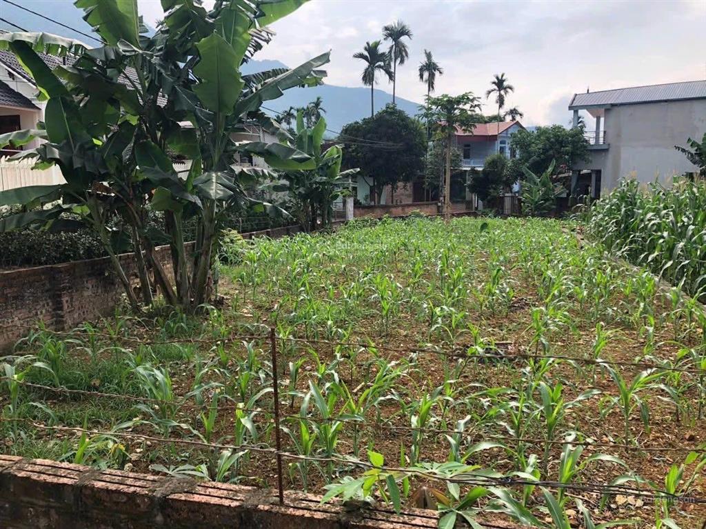 Đất đẹp tiến xuân mặt tiền rộng tiềm năng tăng giá cao giá tốt diện tích 335m/150 thổ cư
