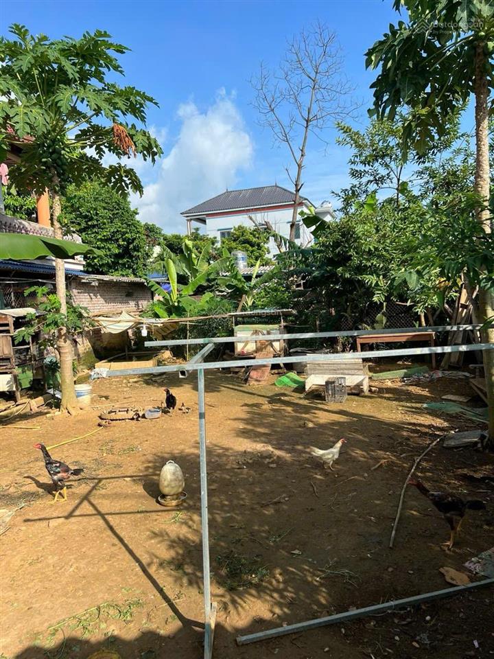 Bán đất đẹp giá tốt tại xã yên xuân 200m giá tốt  0982 361 ***