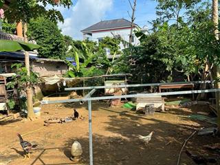 Bán đất đẹp giá tốt tại xã yên xuân 200m giá tốt  0982 361 ***