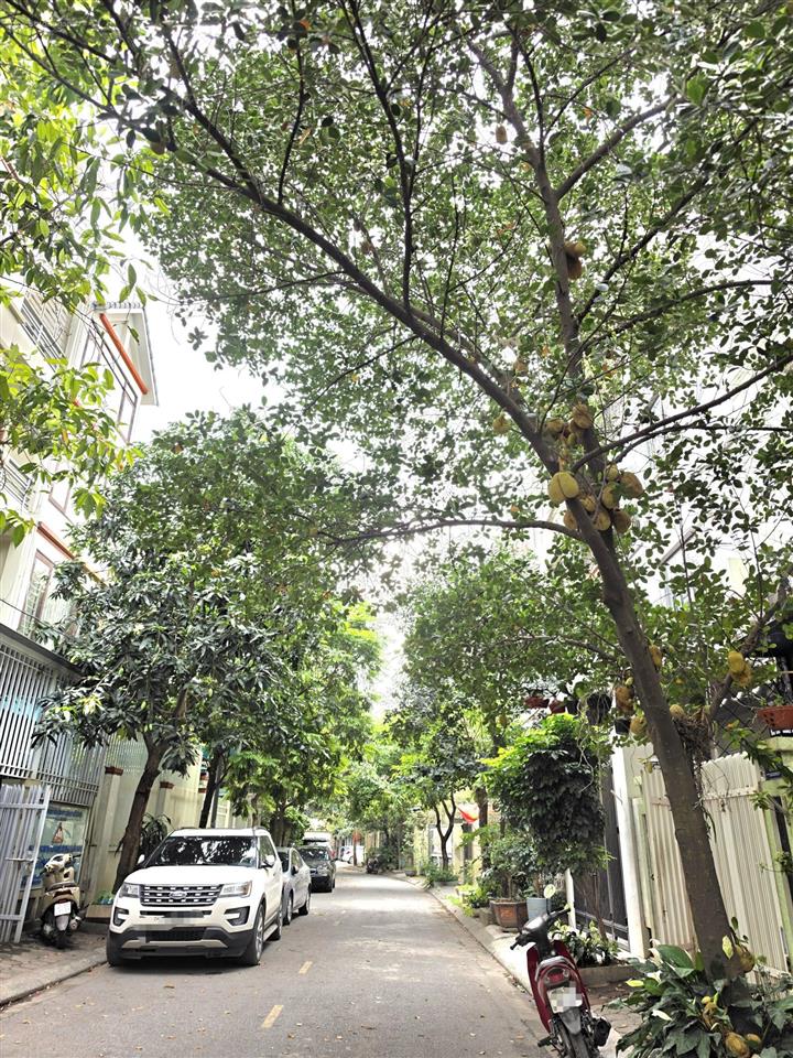 Bán đất phân lô gần cầu vĩnh tuy  mp hoa động  vỉa hè rộng view thoáng kinh doanh 105m2  14,5 tỷ