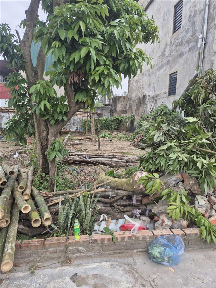 42m2 đất đẹp bát khối hơn trong đê không qh