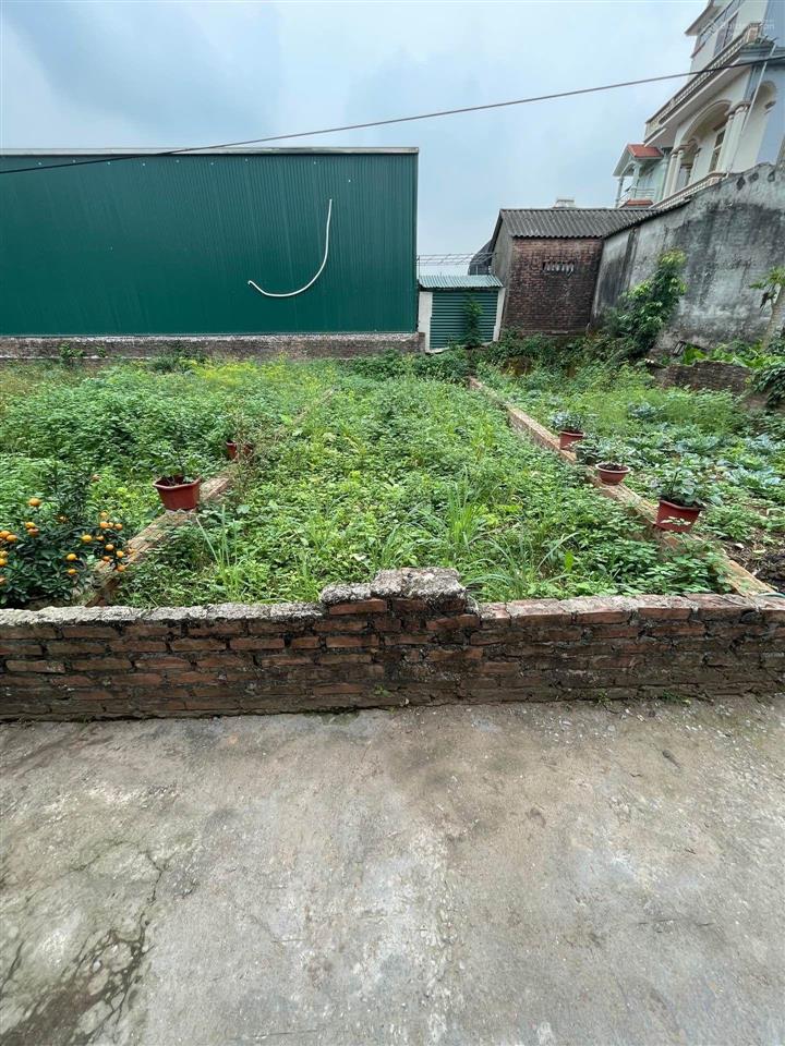 Bán đất phường cự khối  long biên ô tô tránh, ô tô vào nhà 58m2  3,6 tỷ