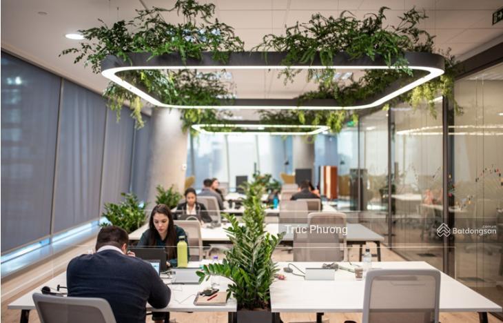 Tòa nhà mặt tiền phạm viết chánh, quận 1, 175m2(7x25m) hầm + 7 tầng  hđt 9000$, giá 70 tỷ