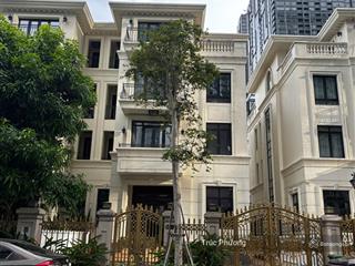 Biệt thự vinhomes ba son tôn đức thắng quận 1, 10x22.5m (cn 225m2) hầm + 4 tầng, giá 228 tỷ