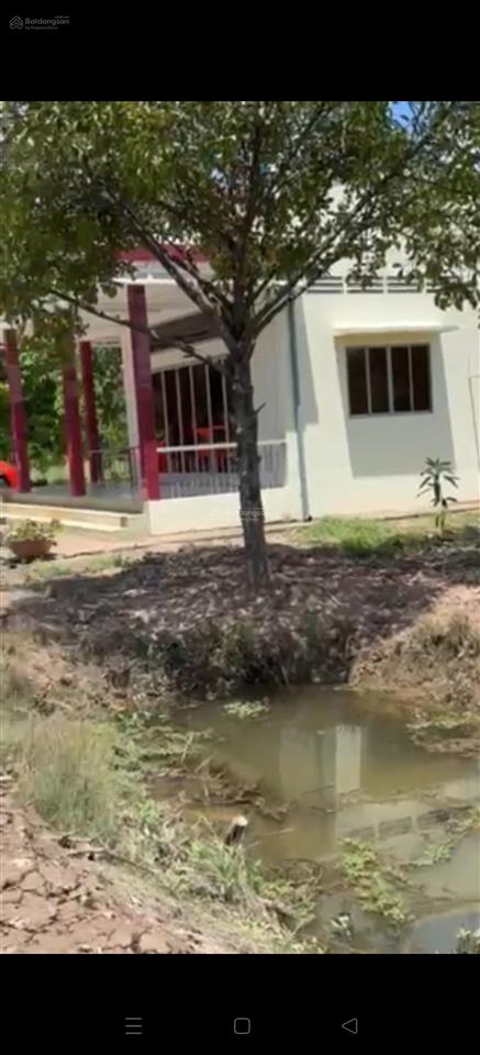 Siêu phẩm nhà vườn tam phước sát cầu rạch miễu 2 chỉ 1,2 triệu/m2