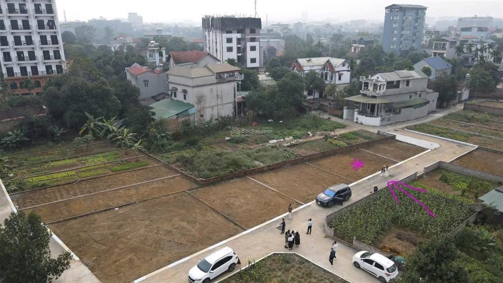 Nhỉnh #3 tỷ sở hữu đất tân xã ôm trọn hệ sinh thái giáo dục & kcn cao hòa lạc!