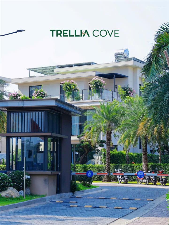 Giỏ hàng trellia cove trực tiếp cđt 2pn 61m2 chỉ 4tỷ  thanh toán theo tiến độ 0.5%/tháng, ck 15.5%