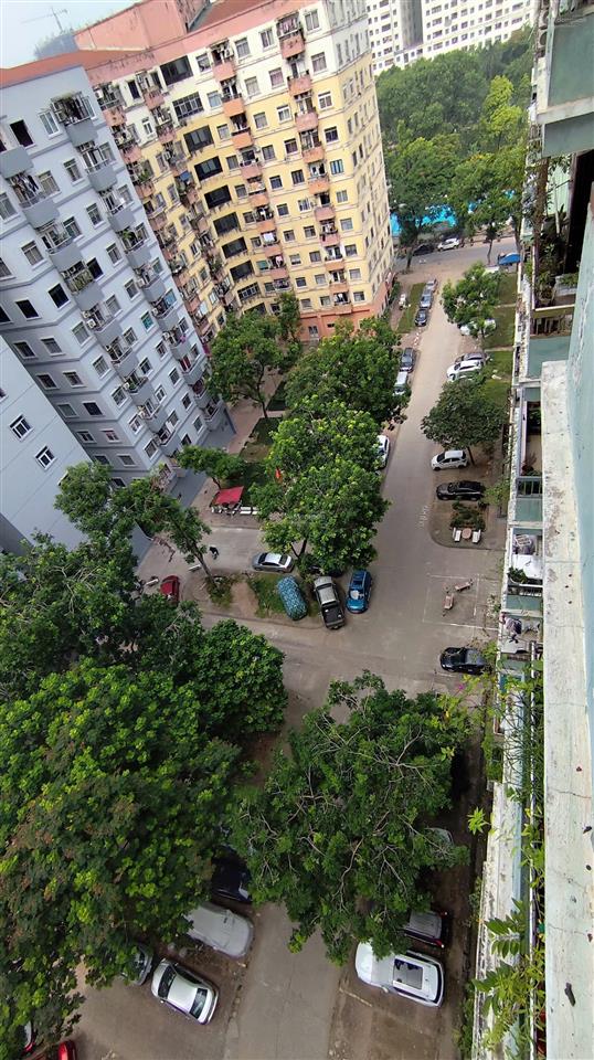 Nơ 3 bán đảo linh đàm / giá tốt
