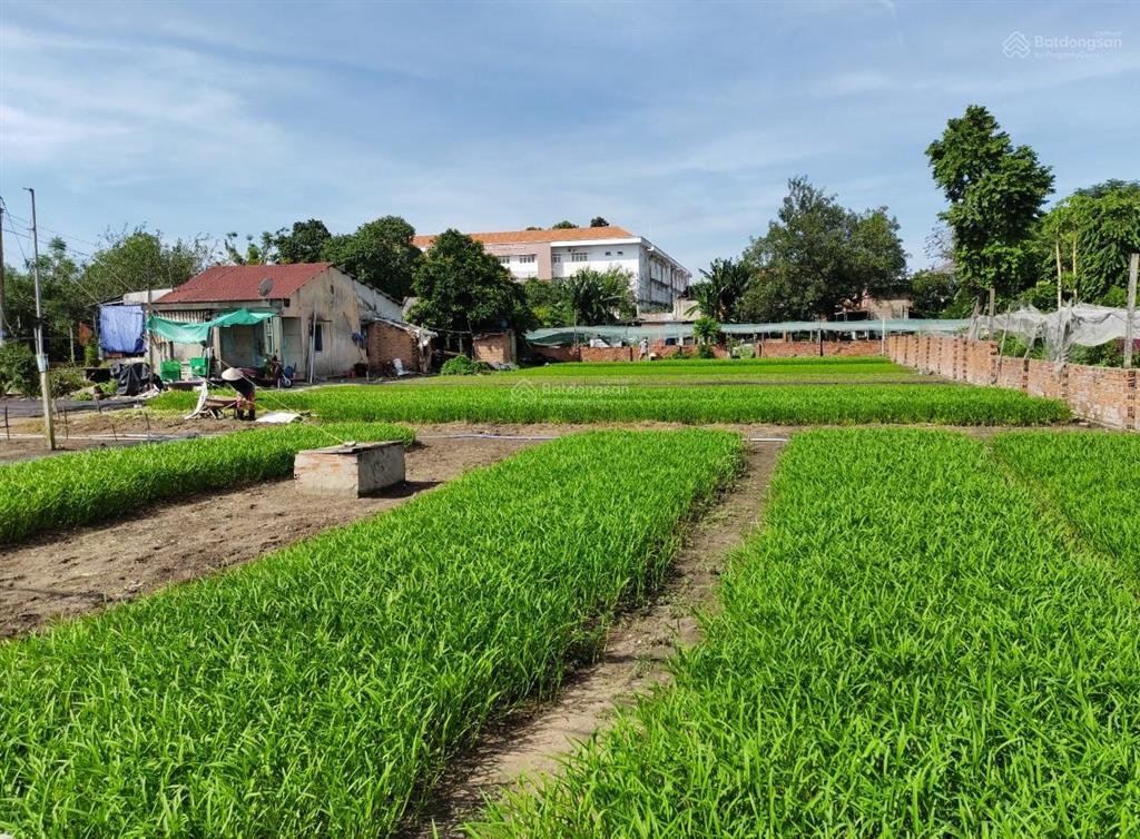 (chính chủ) bán nhà vườn hóc môn 1.300m2 (300m2 thổ cư)  13 triệu/m2