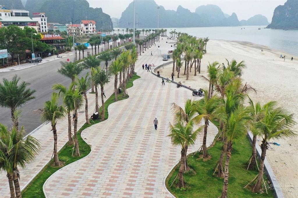 Bán lỗ căn khách sạn 7 tầng bãi tắm cột 5 8 hạ long giá 19,5 tỉ  0914 043 ***