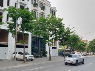 Bán lô siêu đẹp mặt đường lý thánh tông, tdp kiên thành, 81 m2, mt 5m, 6 tầng, đường 30m, chỉ 26 tỷ