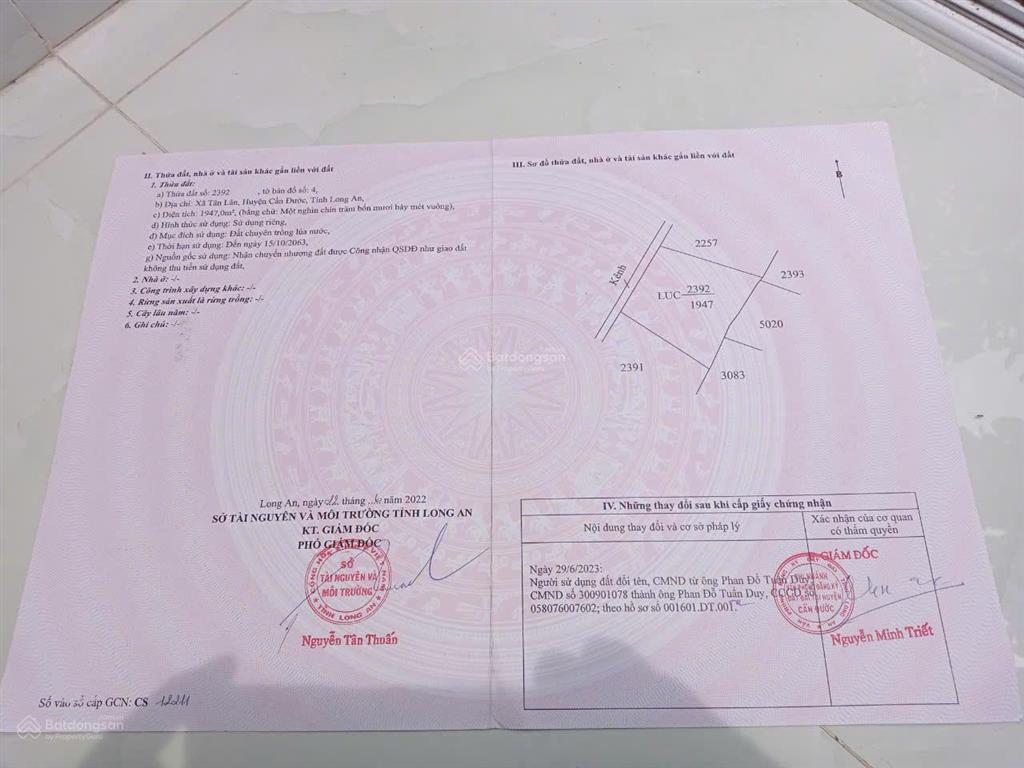 Cần bán gấp đất lúa 1947m2 tại cần đước