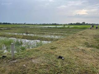 Cần bán gấp đất lúa 1947m2 tại cần đước