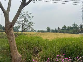 Chính chủ bán gấp đất 160m2 thổ cư 100%, shr