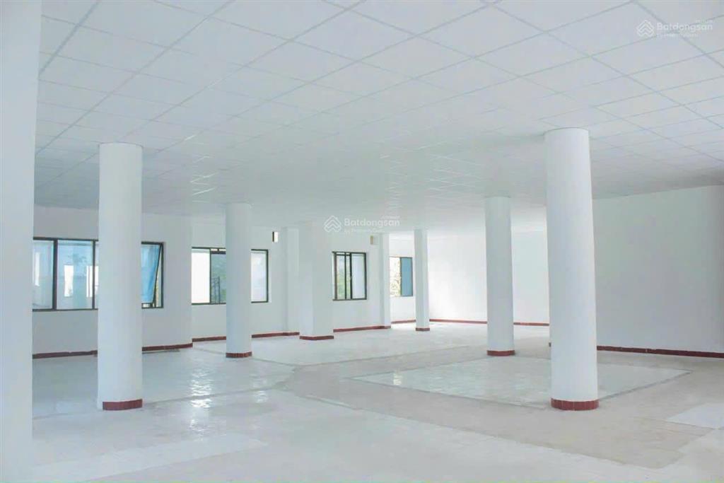 Cho thuê tòa nhà mặt tiền hòa hưng, phường 12, quận 10 diện tích 20x19m hầm trệt 4 lầu giá 300tr