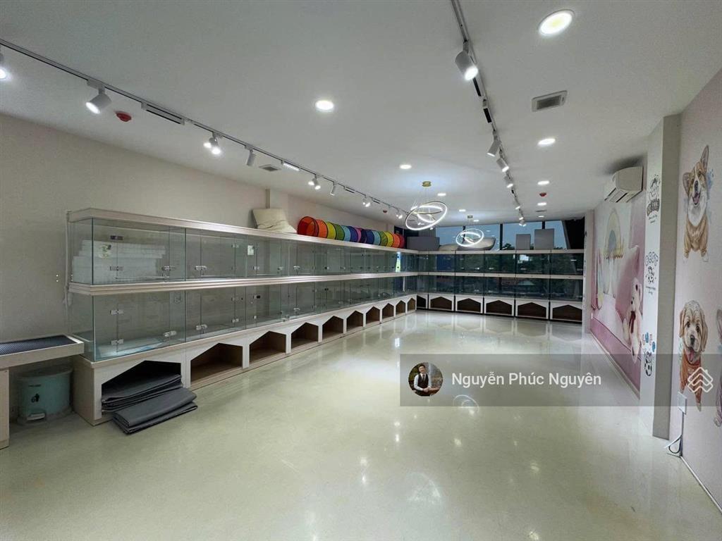 Cho thuê tòa nhà thảo điền, phường thảo điền, quận 2, 6x28m, hầm 4 lầu, tm, giá 180 triệu