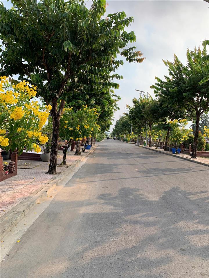 Bán đất mộ phúc an viên 320tr/mộ