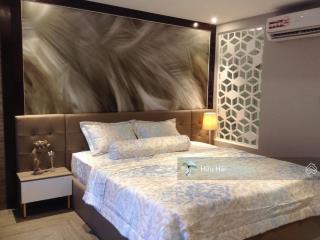 Cho thuê căn hộ 1pn giá 10.5 triệu/th tại botanica premier (novaland)  36m2, full nội thất