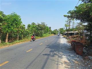 Bán đất mt đường thanh niên xã phạm văn hai, bình chánh, dt 10x49 có 300m thổ cư giá 8 tỷ