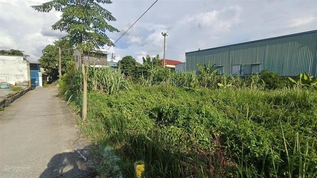 Bán đất mt đường thanh niên xã phạm văn hai, bình chánh, dt 10x49m có 300m2 thổ cư giá 8 tỷ
