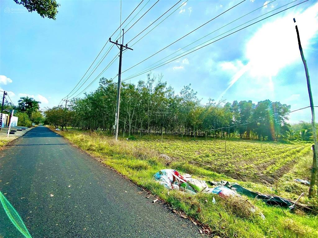 Cần bán lô đất 1048.5m2 xã an nhơn tây, tp.hcm có 95.6m2 thổ cư giá 3 tỷ 600tr