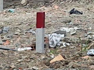 Bán đất thổ cư, đã có sổ riêng, mt đường 3158c phạm thế hiển, p7, q8, dt 53.2m giá 3 tỷ 510tr