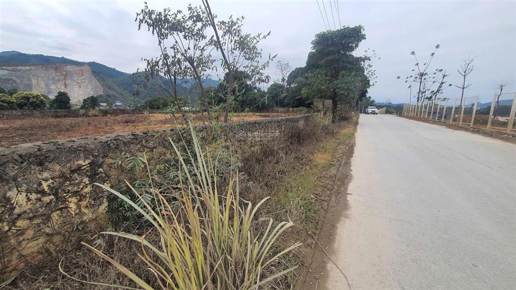 Cơ hội sở hữu lô đất vàng tại cư yên, lương sơn hòa bình! 2700m có 400m