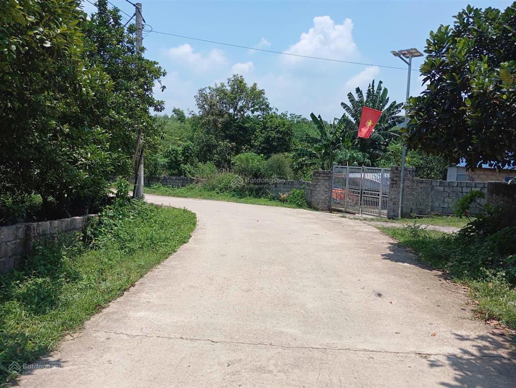 Cần bán gần 4000m đất bám sông bôi  hb đẹp miên man giá nhỉnh 10 tỷ