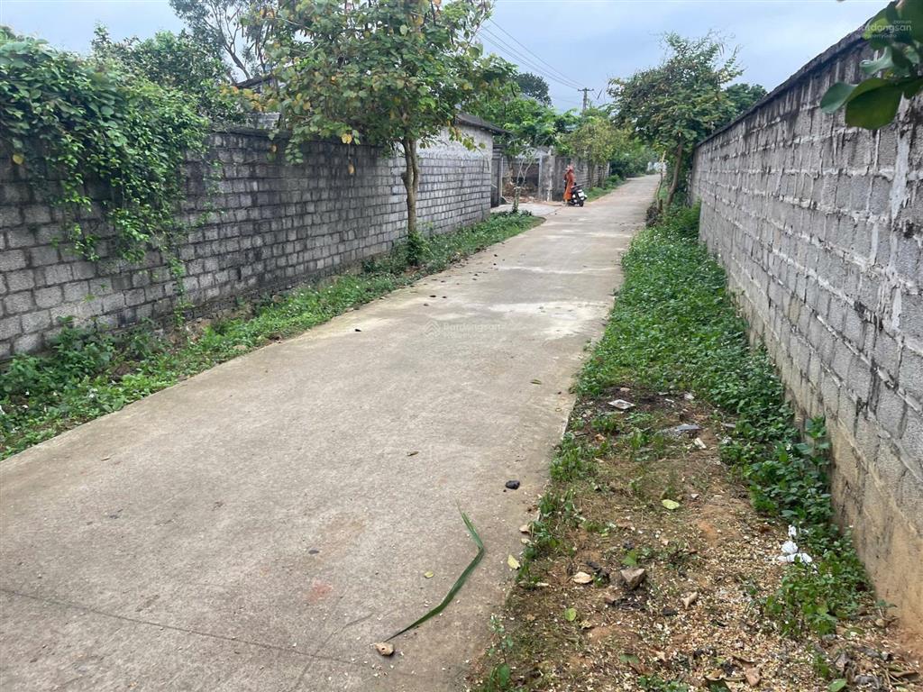 Lô đất 548m yên trị phú thọ cách quốc lộ vài bước chân giá nhỉnh 1 tỷ