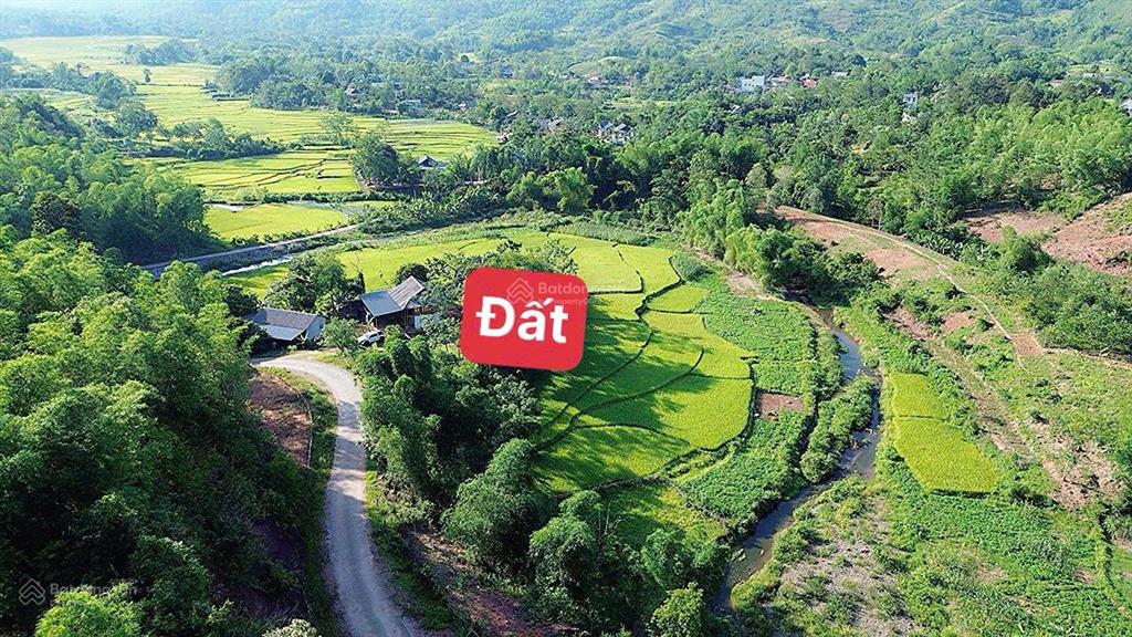 Chủ cần tiền bán cắt lô lô nghỉ dưỡng 2400m tại mai châu giá 8xxtr