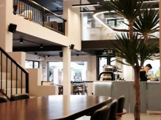 Cực hiếm siêu phẩm góc 3 mặt tiền đào duy anh, phú nhuận  255m