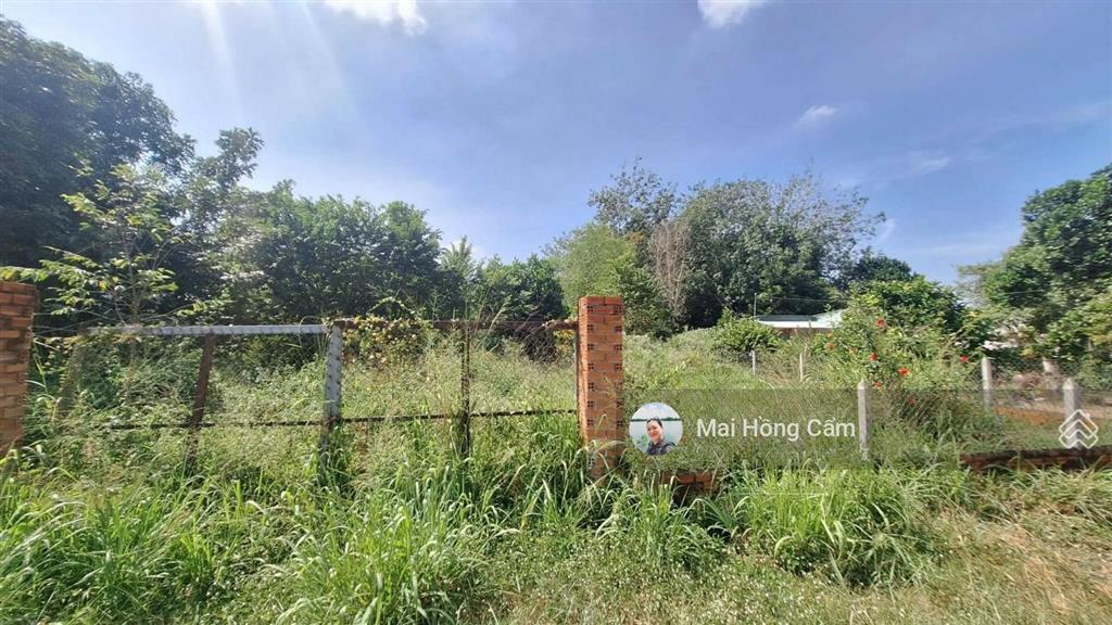 Siêu phẩm quỹ đất vàng mặt tiền tỉnh lộ 15 sẵn 1524.1m² thổ cư kết nối huyết mạch 3 tỉnh