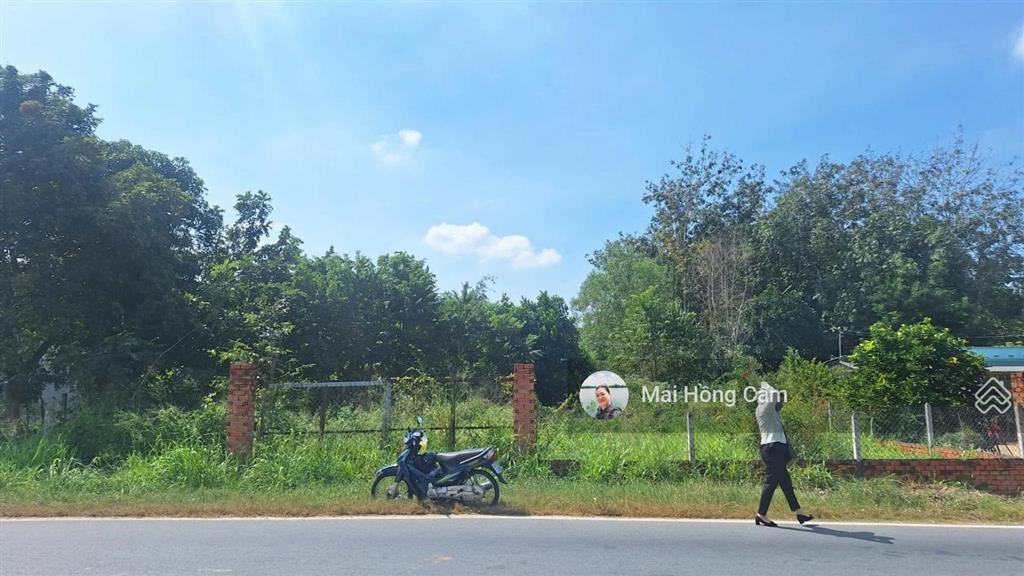Siêu phẩm quỹ đất vàng mặt tiền tỉnh lộ 15 sẵn 1524.1m² thổ cư kết nối huyết mạch 3 tỉnh