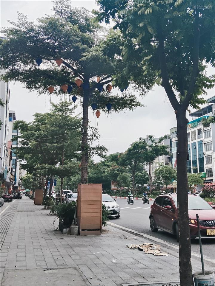 Mặt phố ô chợ dừa, đống đa, diện tích 65m, 2 mặt phố đông các và ô chợ dừa, ô tô dừng đỗ, 45 tỷ