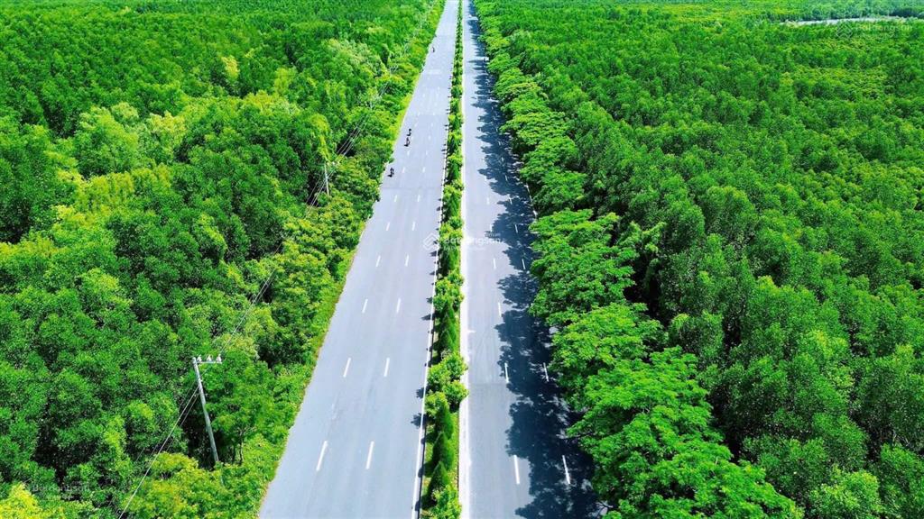 Hot! mở booking căn hộ cao tầng vinhomes green paradise cần giờ