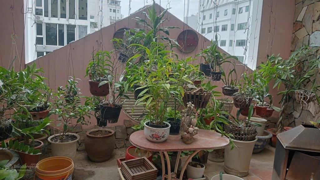 Bán nhà mặt phố lý thường kiệt hoàn kiếm 50m x 4t x mt 5m kinh doanh tốt chỉ 38 tỷ thương lượng