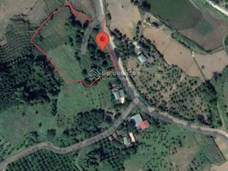 Chủ cần tiền gửi bán lô đất nghỉ dưỡng đẹp tuyệt vời tại cao phong