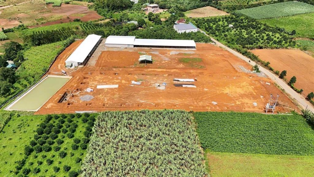 Cầnbán lô đất cho nhà đầu tư ạ lô đất tại xã mường thàng, cao phong