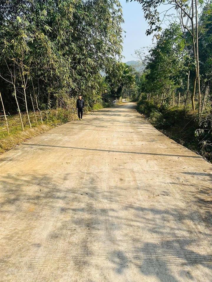 Chủ đất cần bán lô đất tại tân lạc, hòa bình