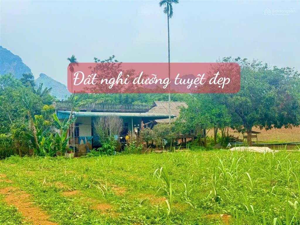 Chủ cần tiền gửi bán lô đất cho nhà anh chị làm nhà vườn ạ