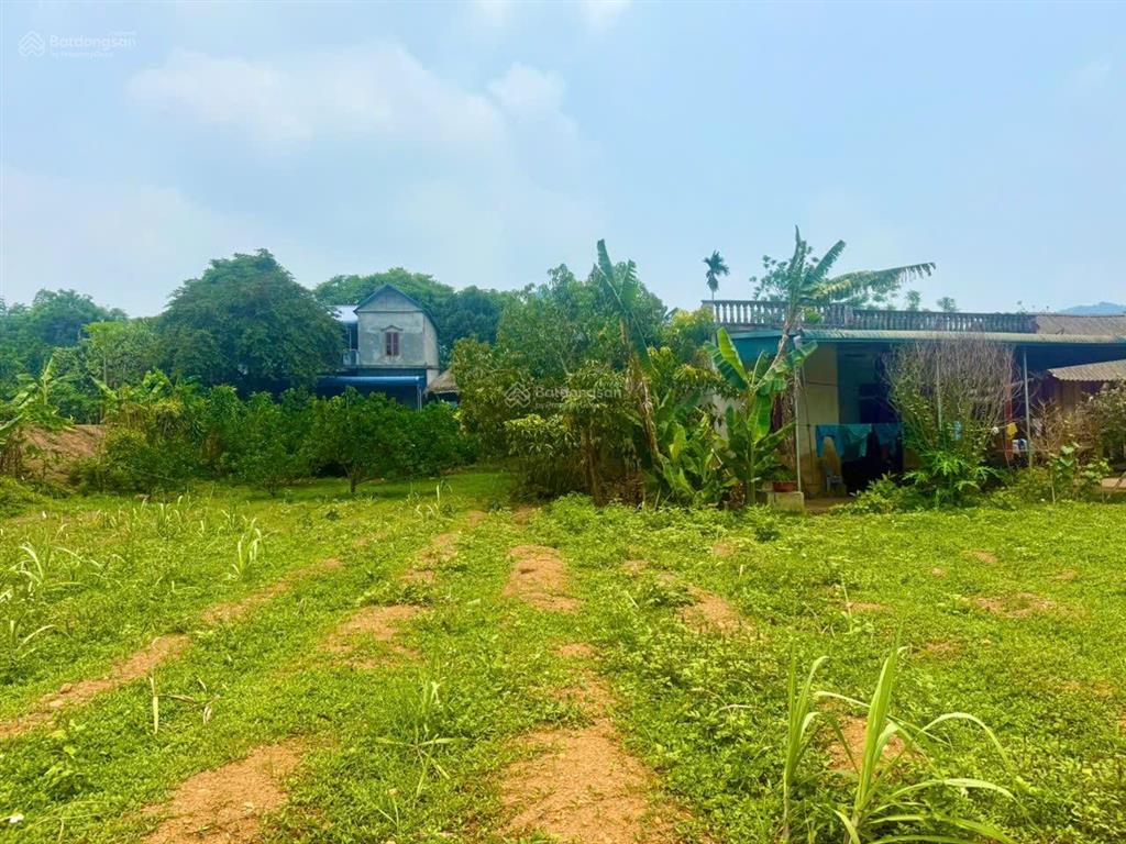 Chủ cần tiền gửi bán lô đất cho nhà anh chị làm nhà vườn ạ